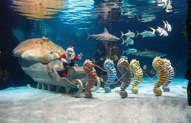 santa's water wonderland