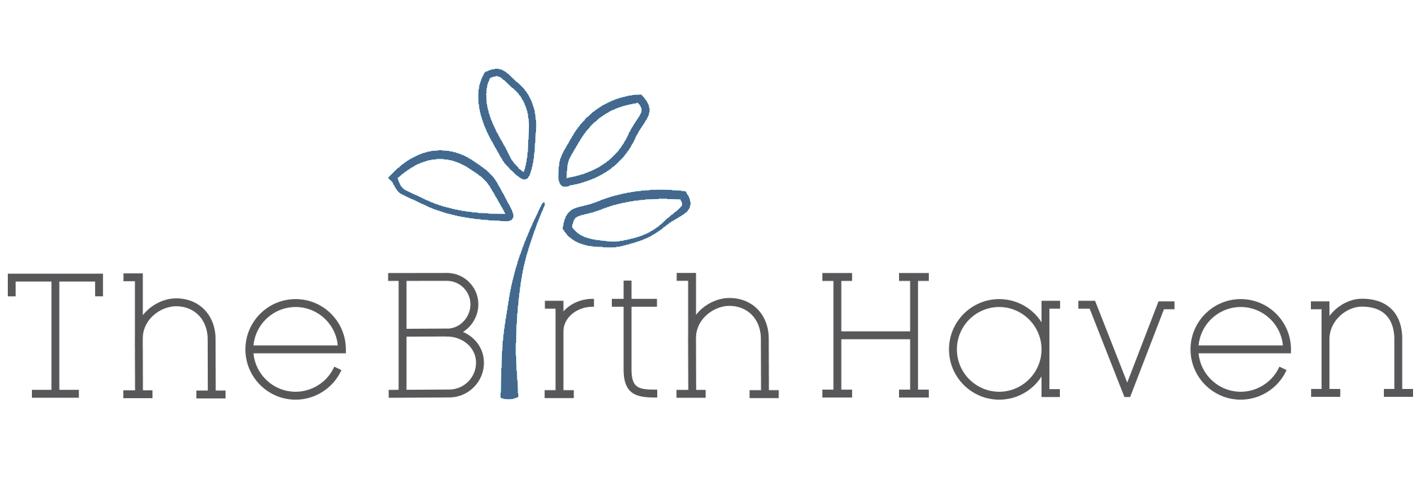 BirthHaven Logo