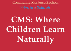 CMS