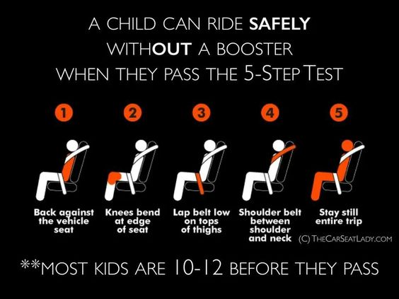 Car Seat Safety Basics Lexington Family