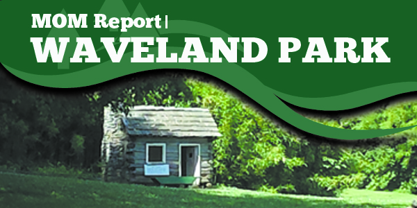 Mom Report WavelandPark