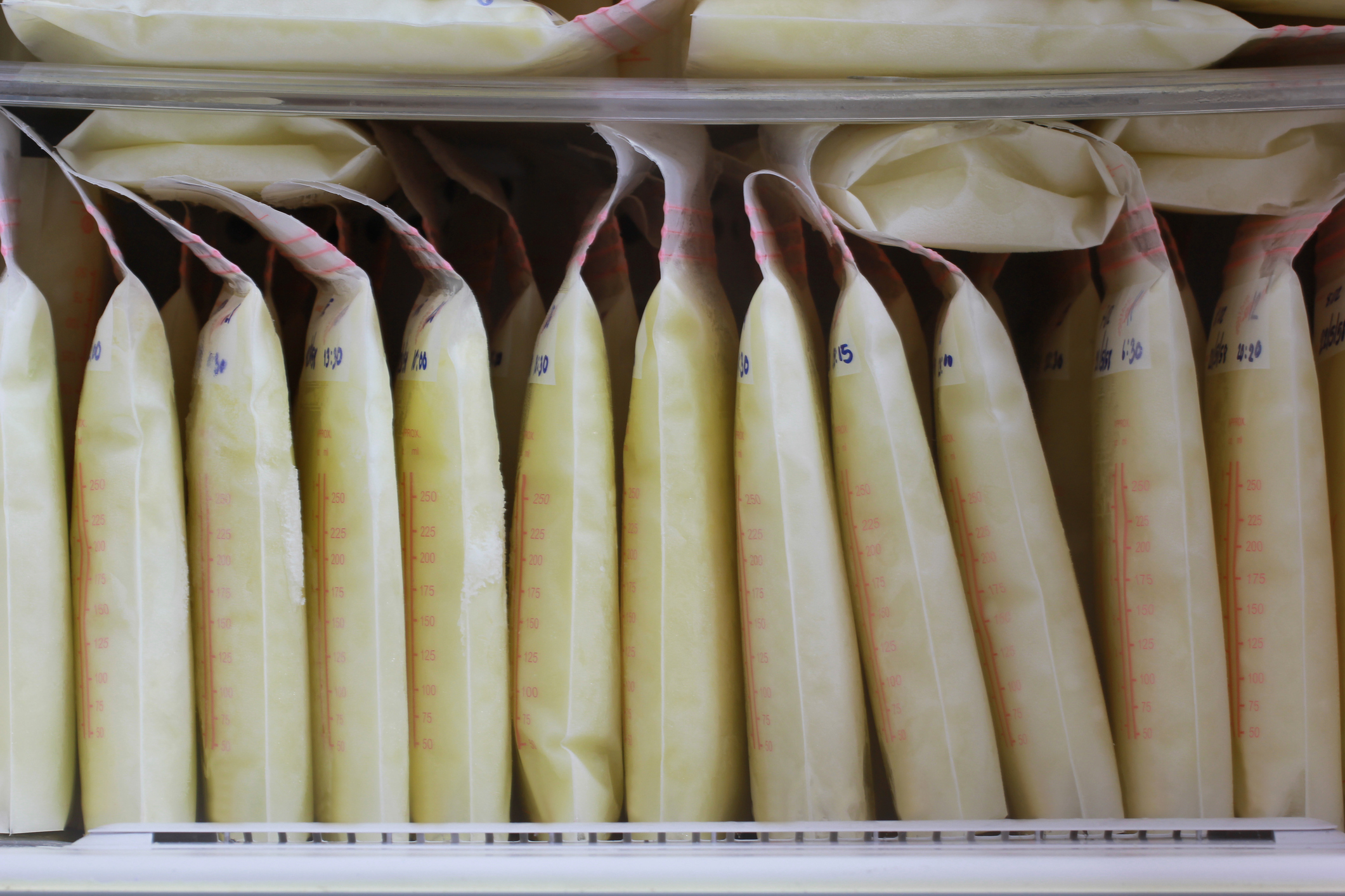 breast milk storage bags for new baby in refrigerator
