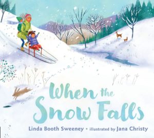 Snow Falls Book