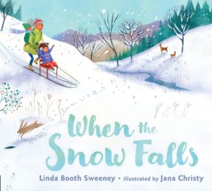 Snow Falls Book