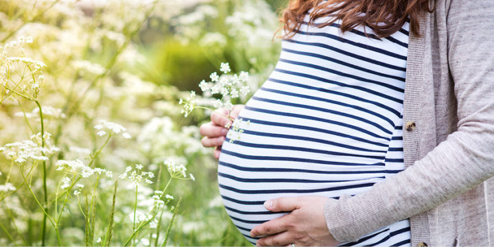 Maternity Fair