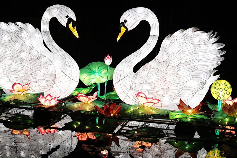 Lantern Festival Visits Louisville Zoo | Lexington Family